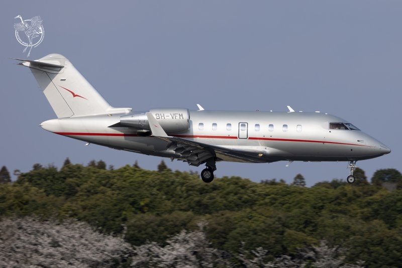 9H-VFM