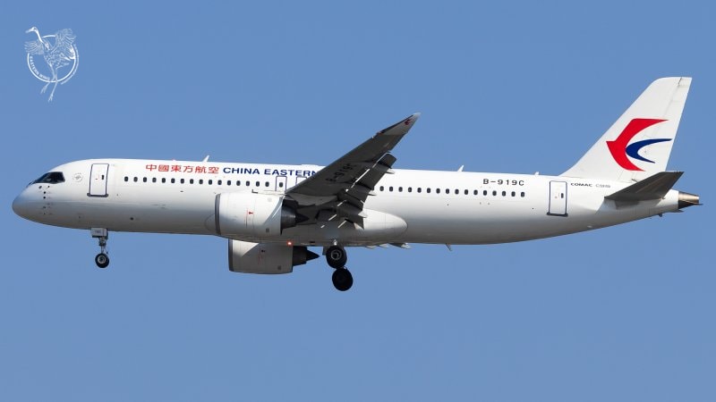 B-919C
