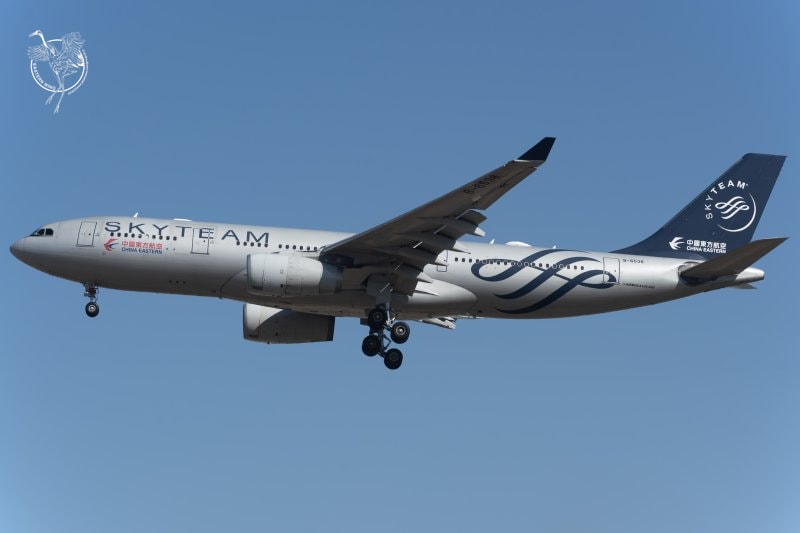 中国东方航空 天合联盟彩绘