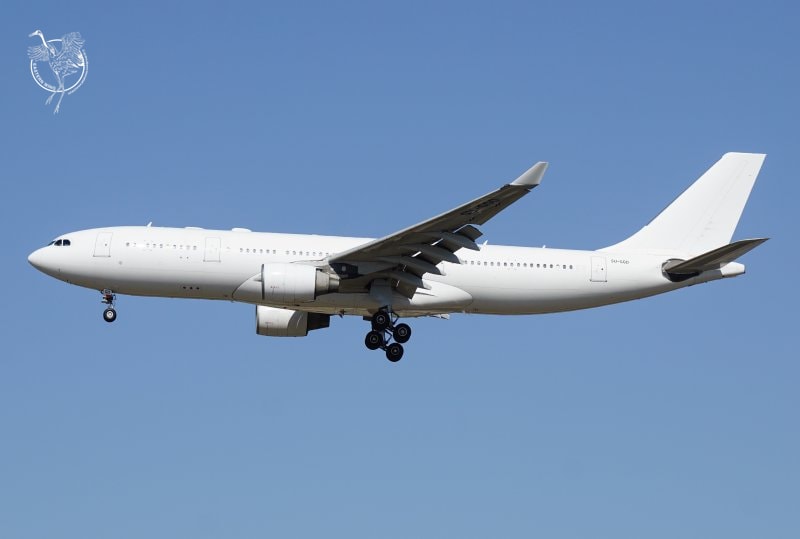埃及航空