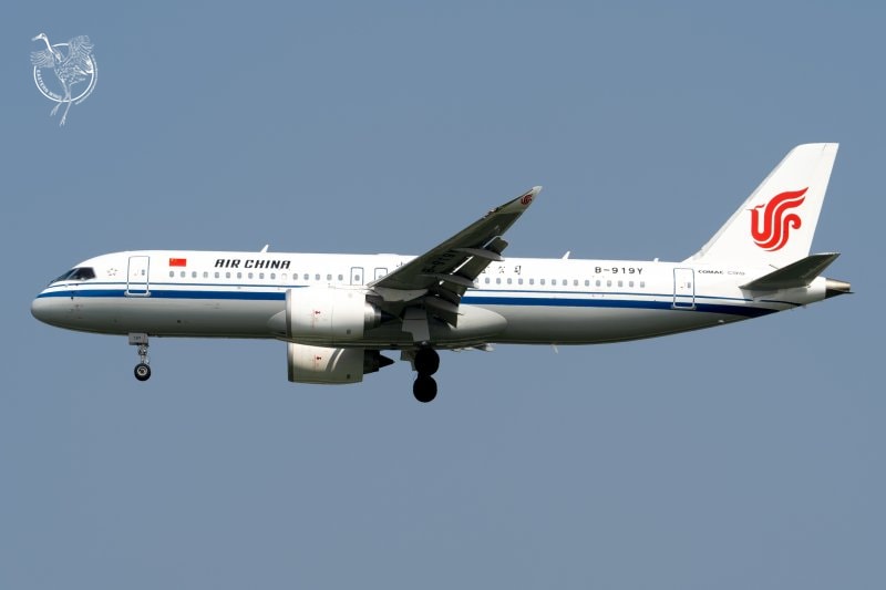 B-919Y