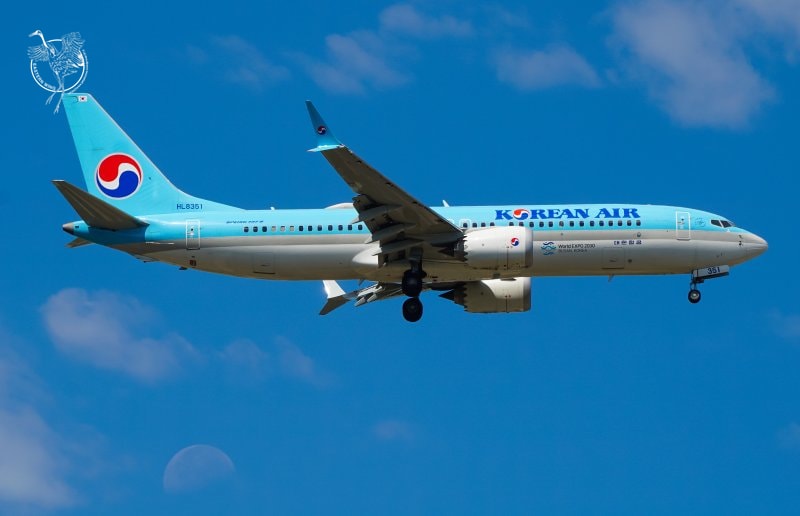 大韩航空 绝版彩绘