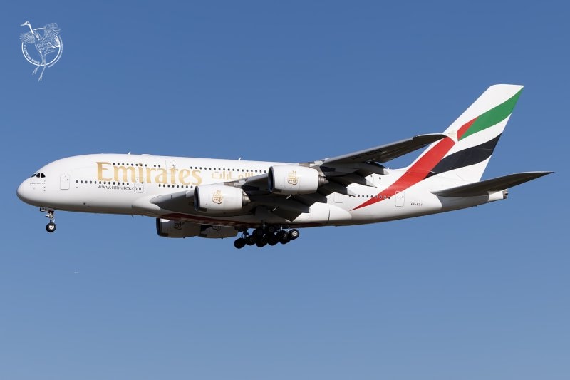 A6-EDV